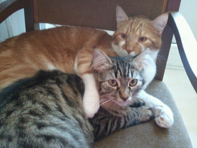 MOLLY E MOSE' - 31/03/2012